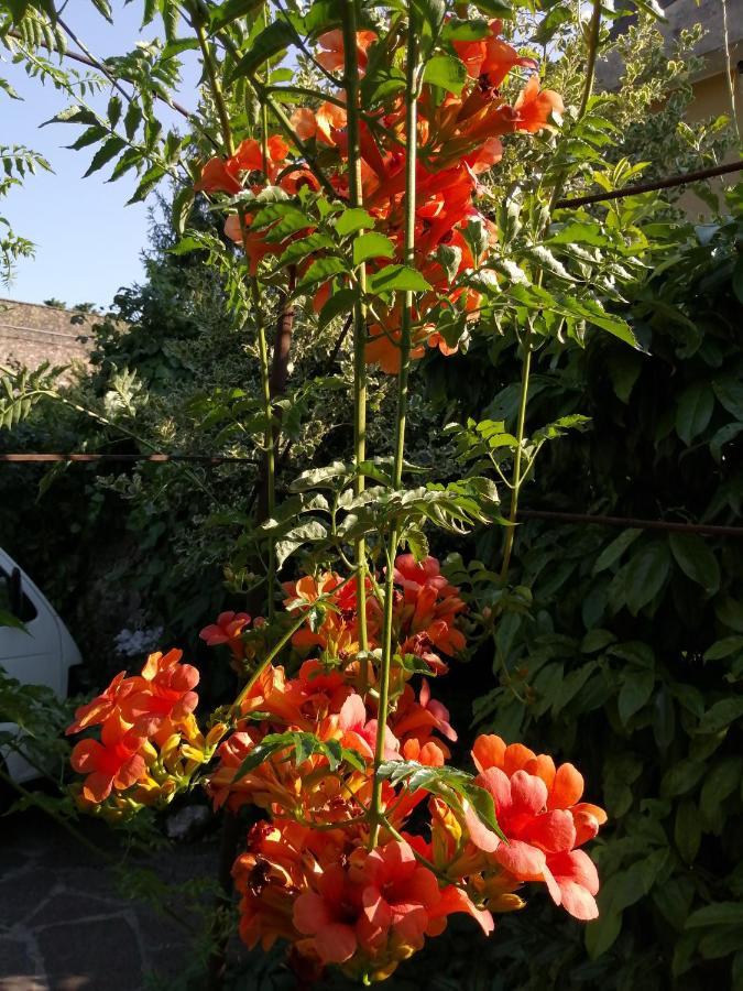 Delle Cartiere