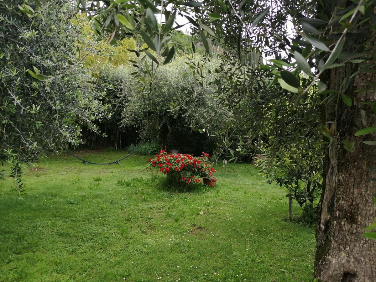 Delle Cartiere Hostel Toscolano-Maderno